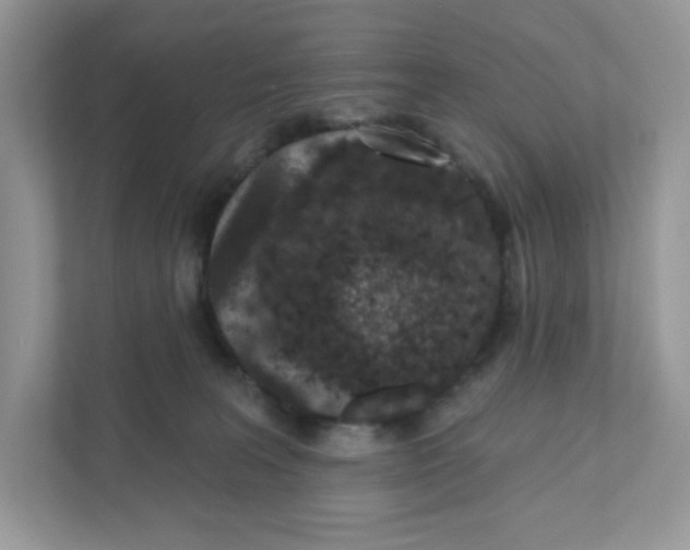 X0000110880227200907091428