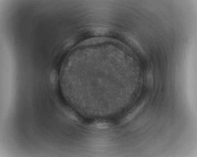 X0000110880228200907091428