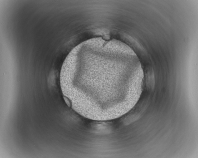 X0000110880229200907091428