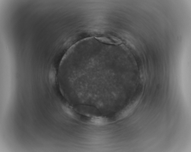 X0000110880231200907091428