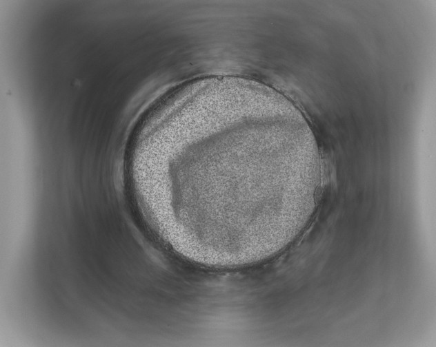 X0000110880243200907091427