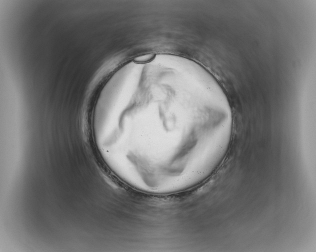 X0000110880245200907091427