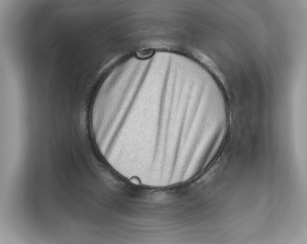 X0000110880249200907091427