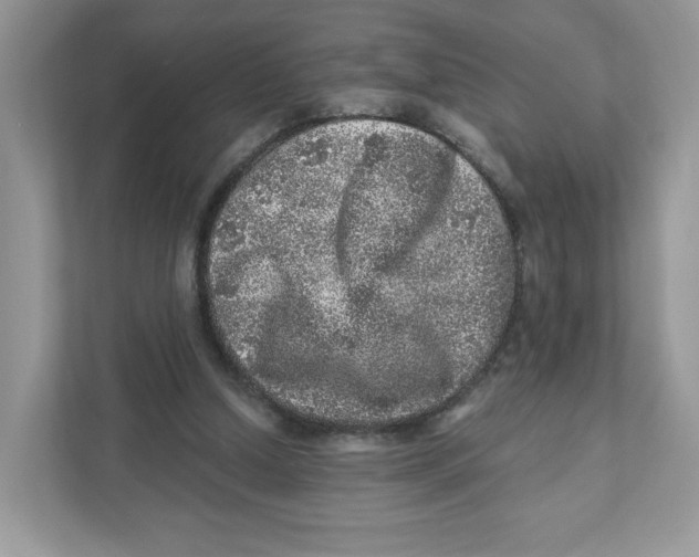 X0000110880250200907091427