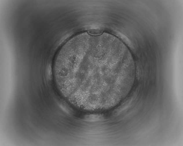 X0000110880251200907091427