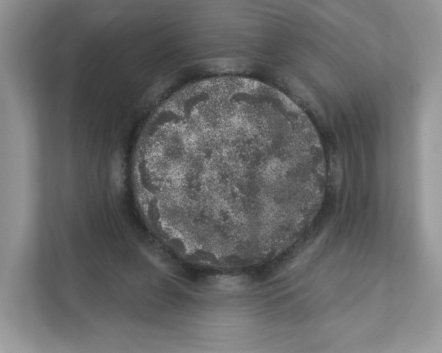 X0000110880255200907091427