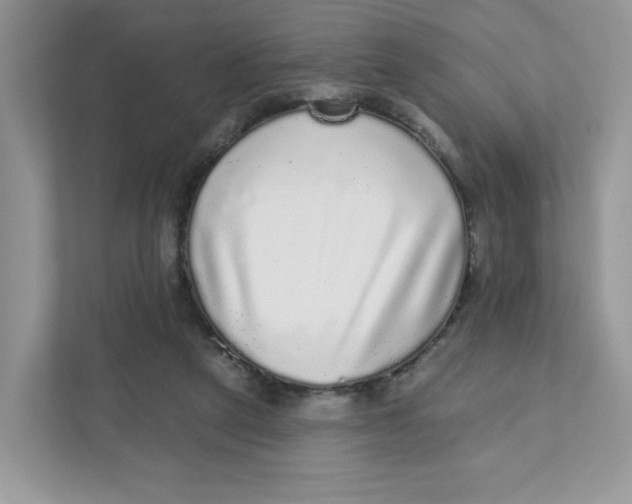 X0000110880257200907091427