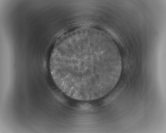 X0000110880258200907091427