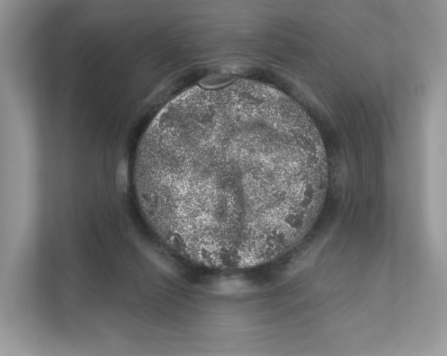 X0000110880262200907091427