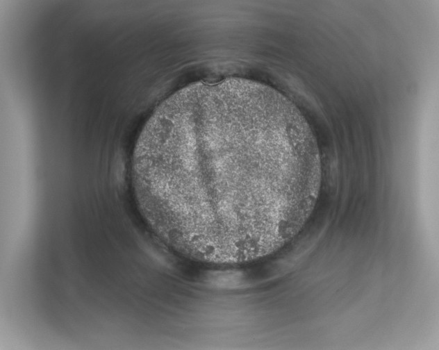 X0000110880266200907091427