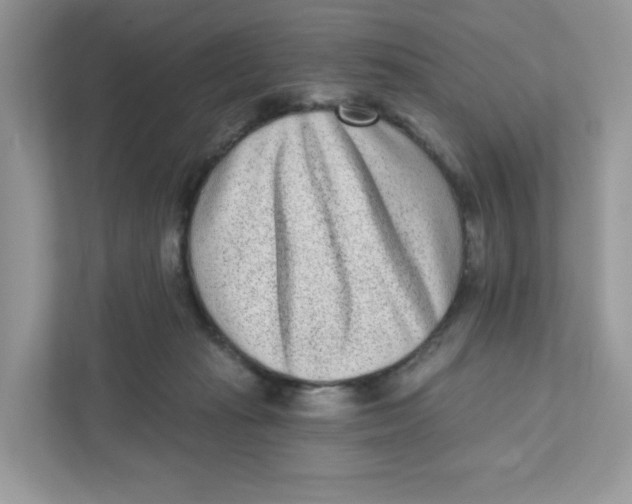 X0000110880269200907091427