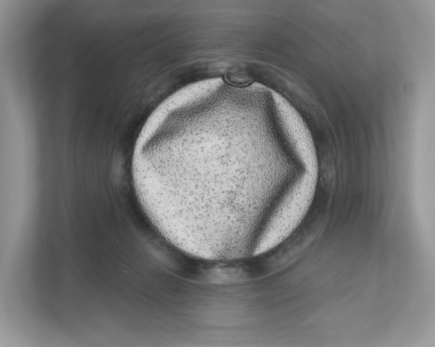 X0000110880270200907091427