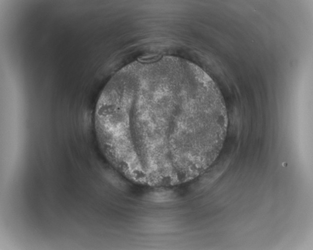 X0000110880278200907091427