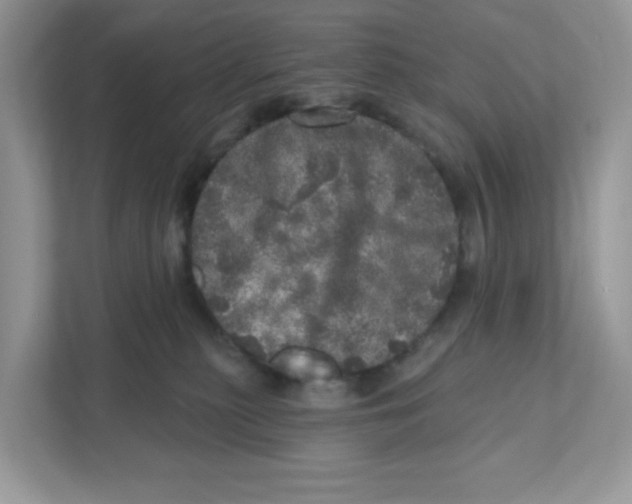 X0000110880279200907091427