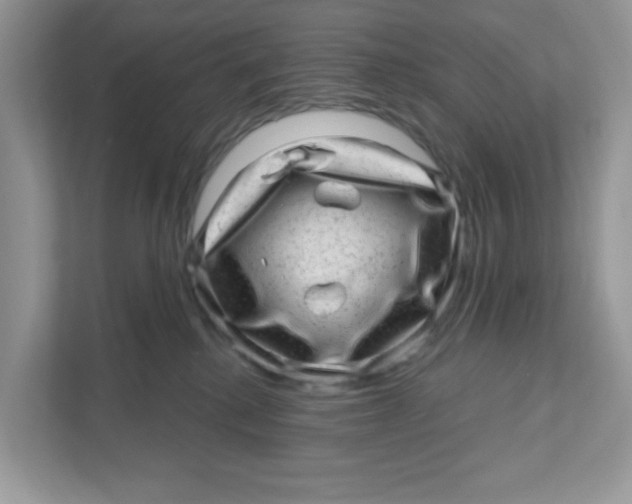 X0000110880280200907091427