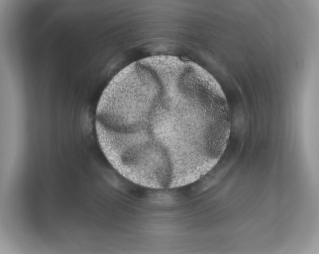 X0000110880282200907091427