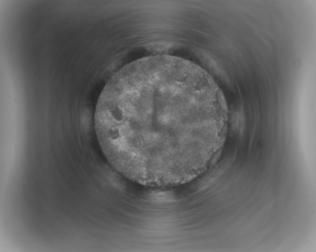 X0000110880283200907091427