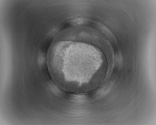 X0000110880284200907091427