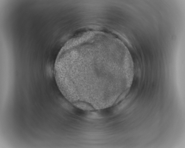 X0000110880285200907091427