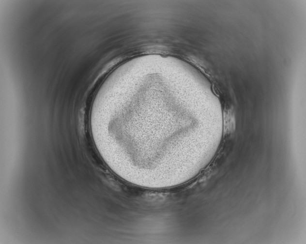 X0000110880291200907091427