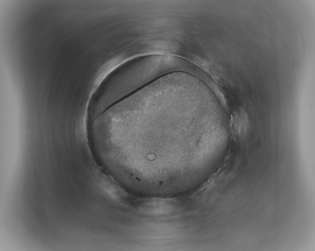 X0000110880292200907091427