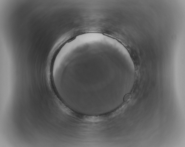 X0000110880293200907091427