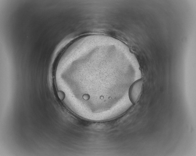 X0000110880294200907091427