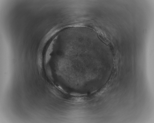 X0000110880295200907091427