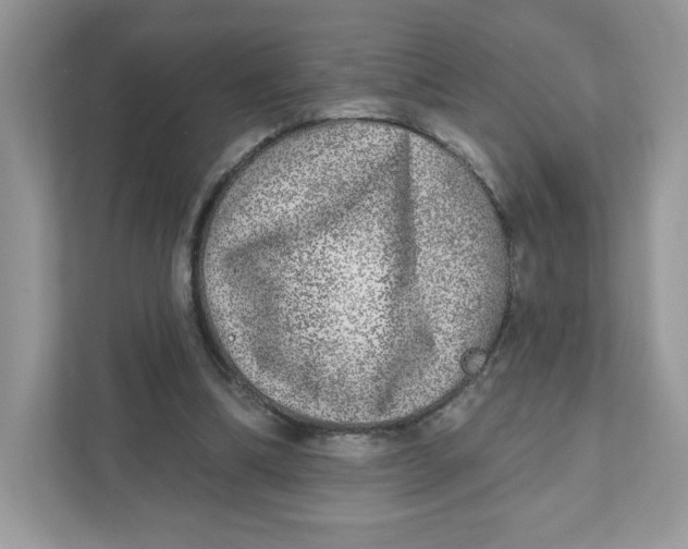 X0000110880298200907091427