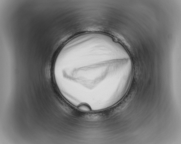 X0000110880299200907091427