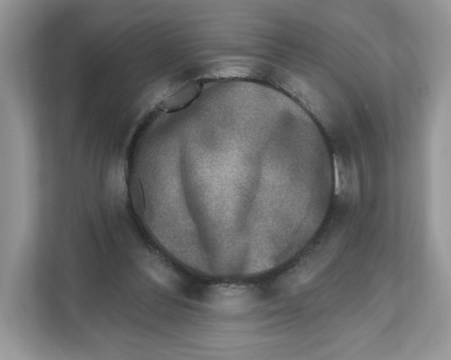 X0000110880300200907091427