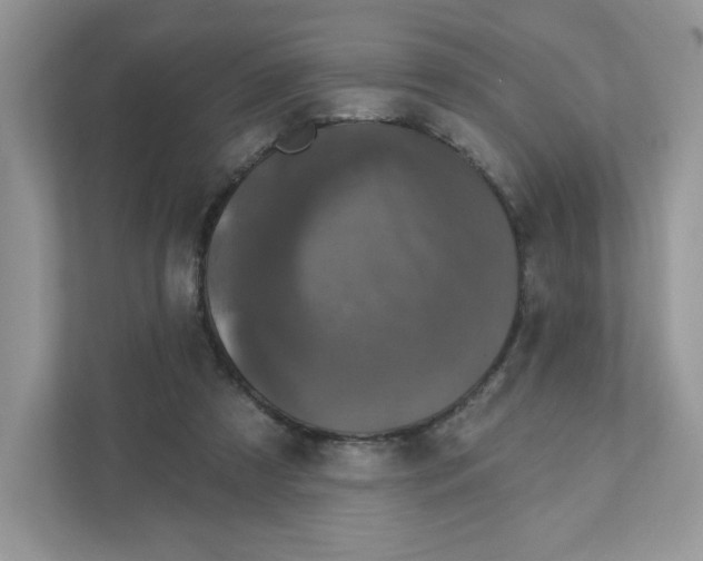 X0000110880305200907091427