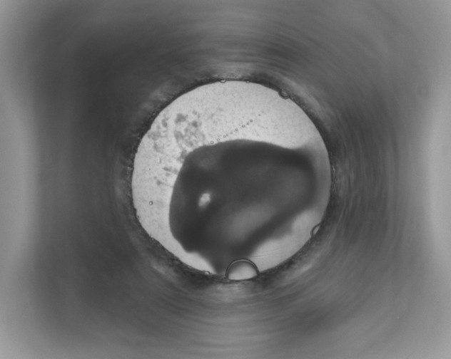 X0000110880307200907091427