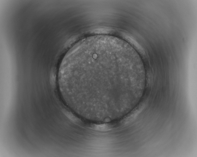 X0000110880309200907091427