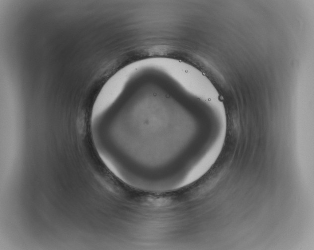 X0000110880311200907091427