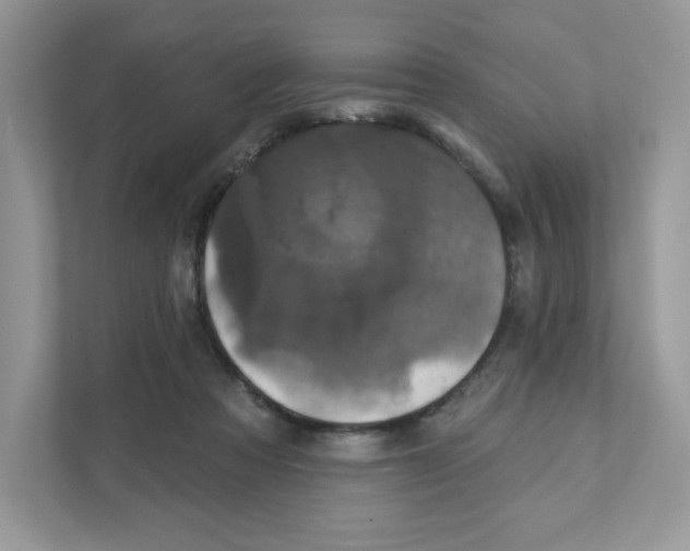 X0000110880313200907091427