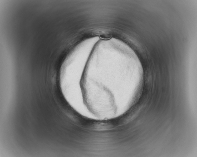 X0000110880315200907091427