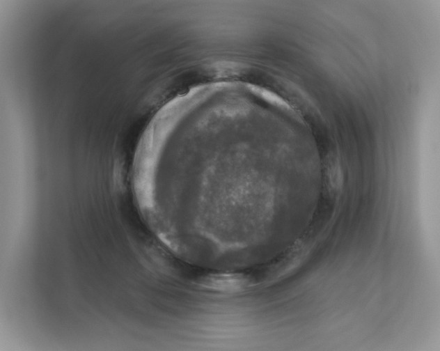 X0000110880316200907091427