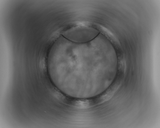 X0000110880317200907091427