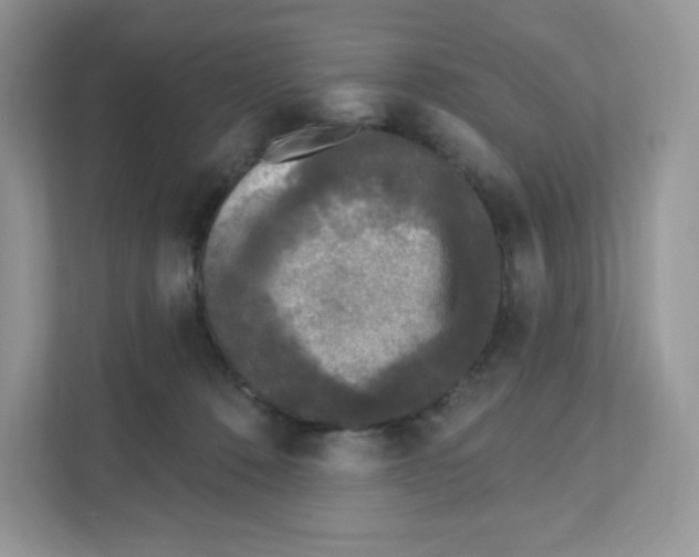 X0000110880320200907091426