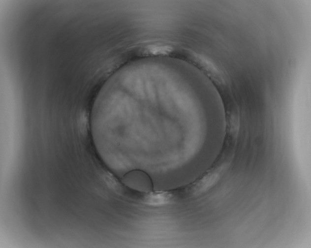 X0000110880321200907091426