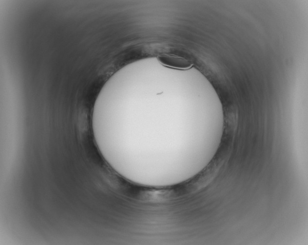 X0000110880323200907091426