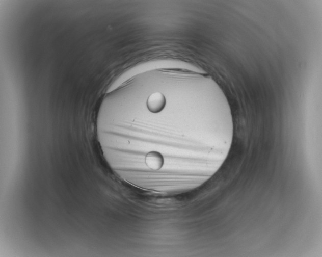 X0000110880324200907091426