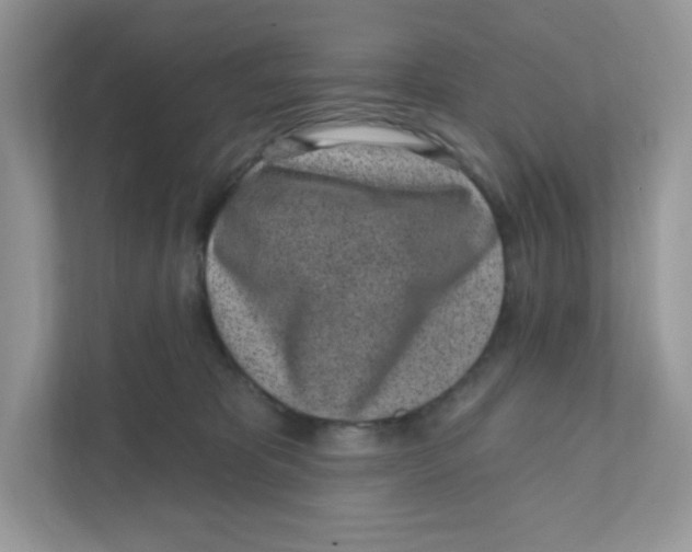 X0000110880325200907091426