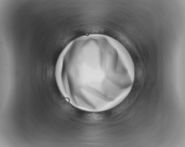 X0000110880326200907091426