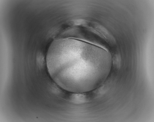 X0000110880327200907091426