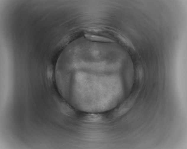 X0000110880328200907091426