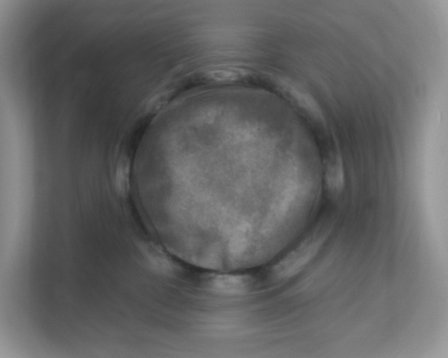 X0000110880332200907091426