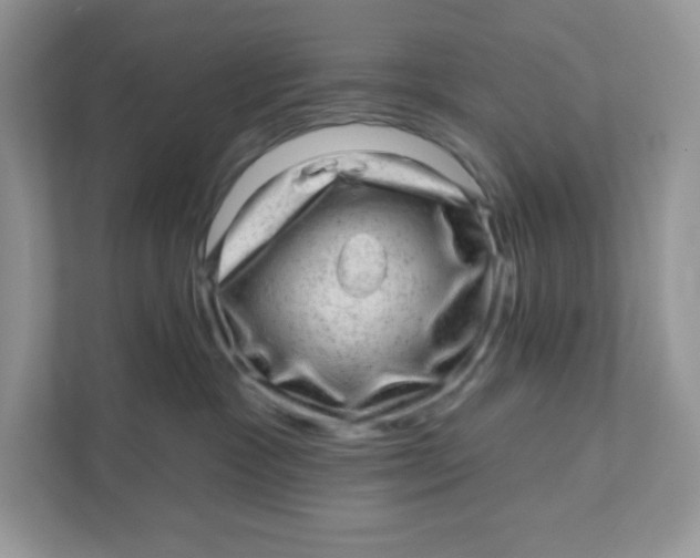 X0000110880333200907091426