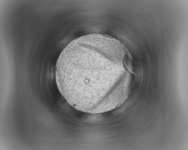 X0000110880334200907091426